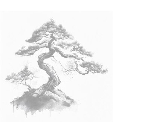 Académie Arts Martiaux Shinkosei